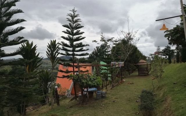 My Dream Resort