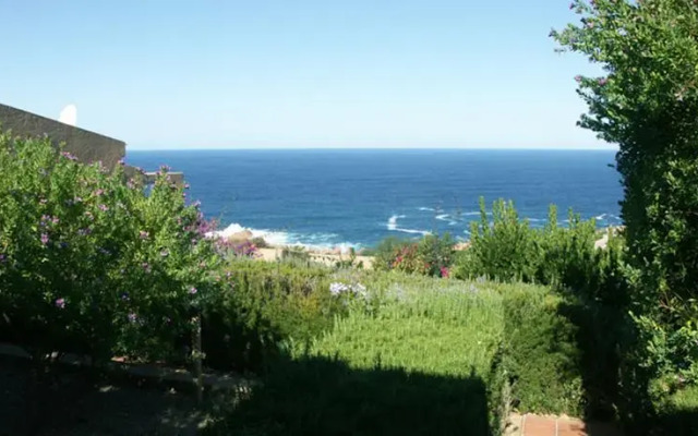 Coccole Di Mare