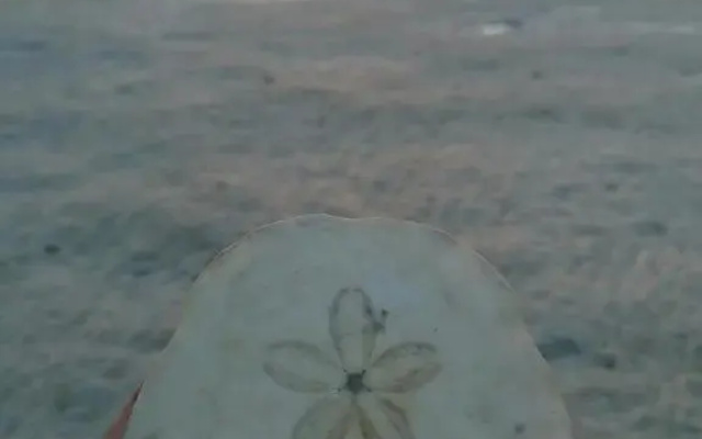 Masirah Beach camp