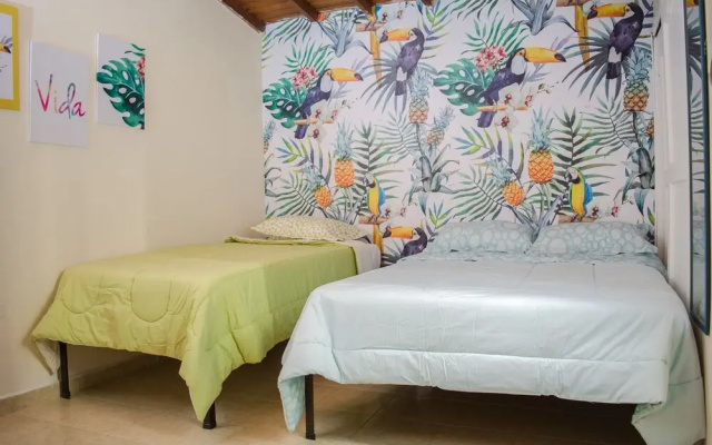 Hostal Pura Vida La 70