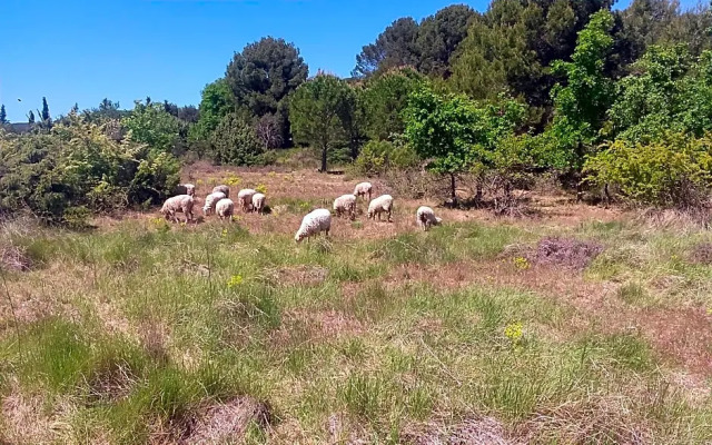 Une Chambre En Luberon (Adults Only)