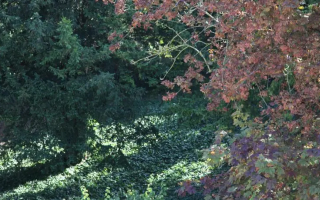 Chambre dhôtes des Sacres