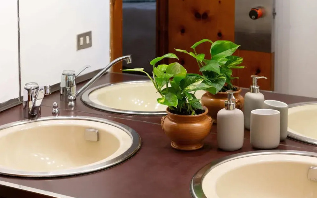 B&B Le foglie d'ulivo