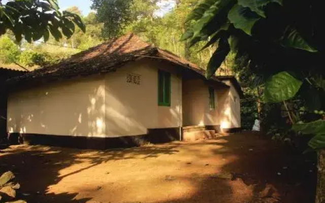 Verdant Vagamon