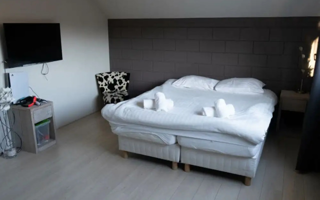 Luxury Home Egmond