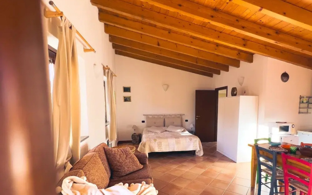 Tenuta MonteOliveto