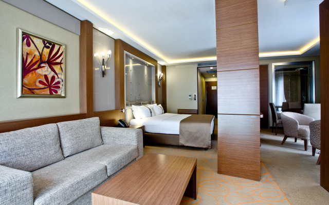 Holiday Inn Ankara - Kavaklidere by IHG