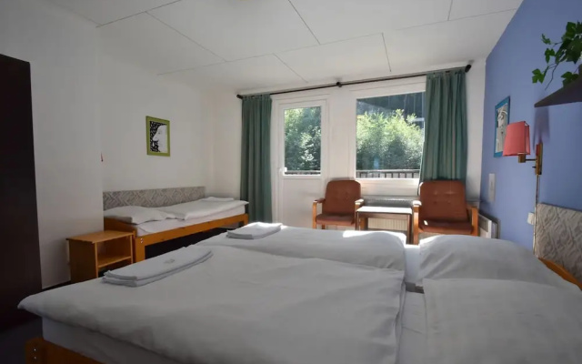Chalet in Dolni Brusnice Near Ski Lift