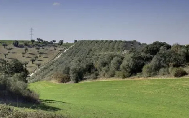Quinta Da Mata