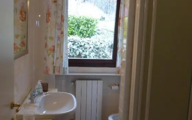 Il Vigneto