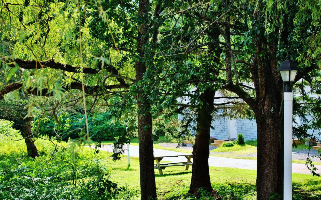 White Anchor Inn