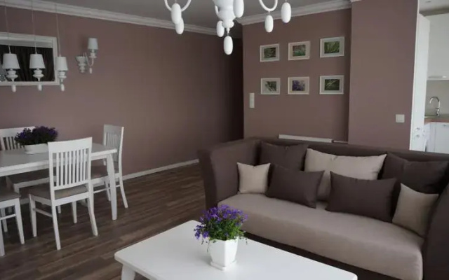 Central Apartament