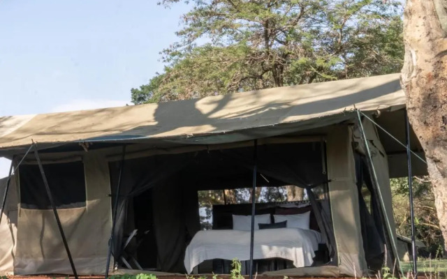 Basecamp Adventure