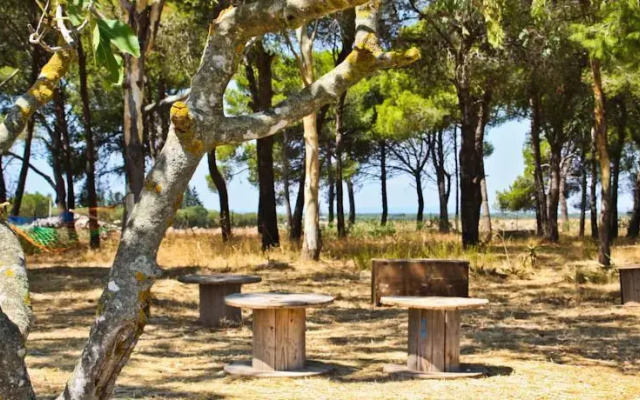Tenuta Pendinello