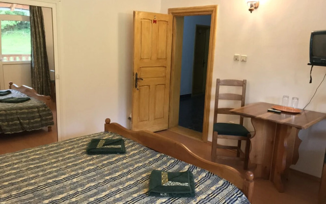Vila Doina Ecotour