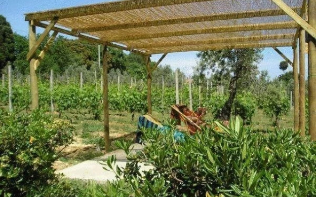 Agriturismo Le Fornacine