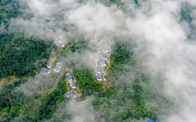 Blossom Hill Jiuhua Mountain Moshang Wujian