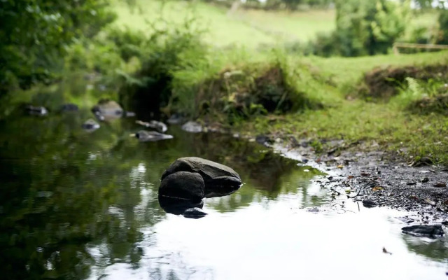 Little River Glamping