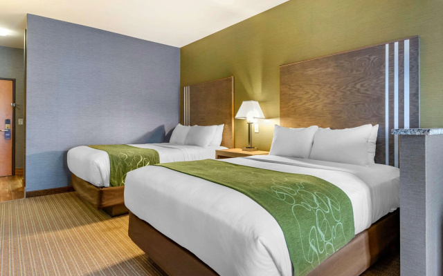 Comfort Suites Southgate-Detroit