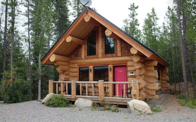 Yukon Pines