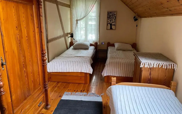 Brzozowy Gaj