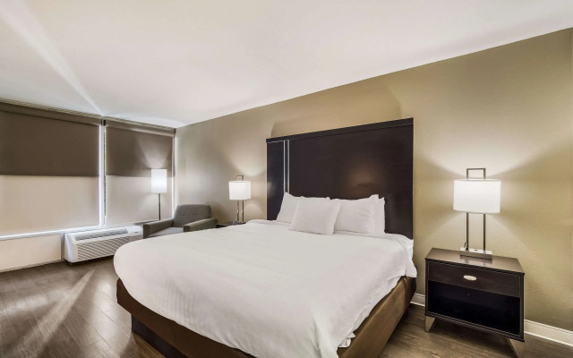 Clarion Inn & Suites Florence - Darlington