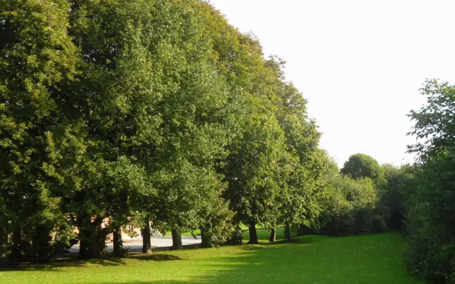 Hellesvang