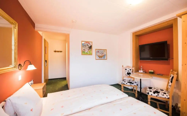 Hotel Brienzerburli