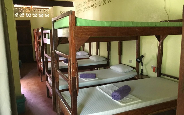 Elternative Hostel