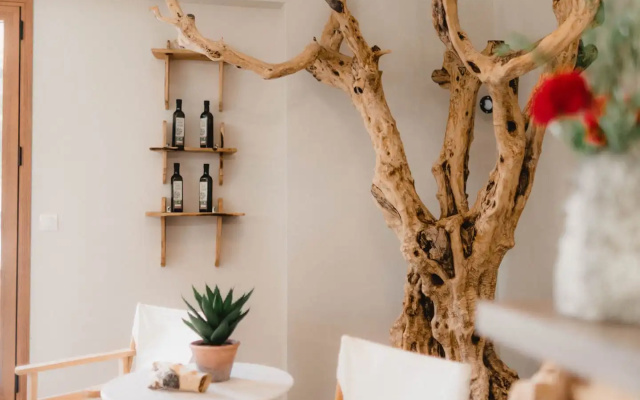 Socrates Organic Village - Wild Olive