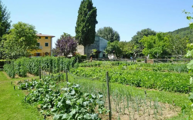 Fattoria I Tribbi