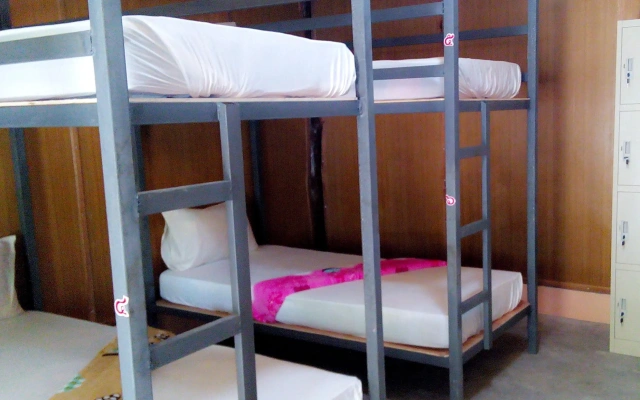 Funky Fish Hostel