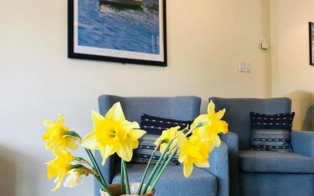 Bruce Waterfront Apartments