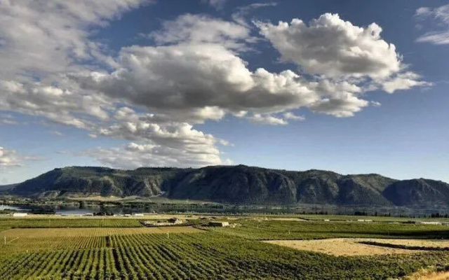 Lone Point Cellars