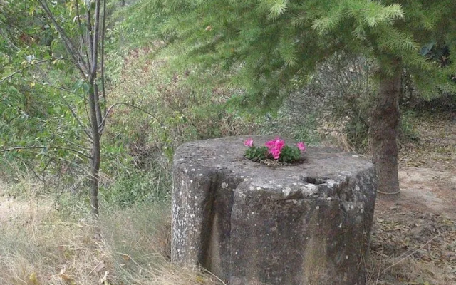 Ardetxal