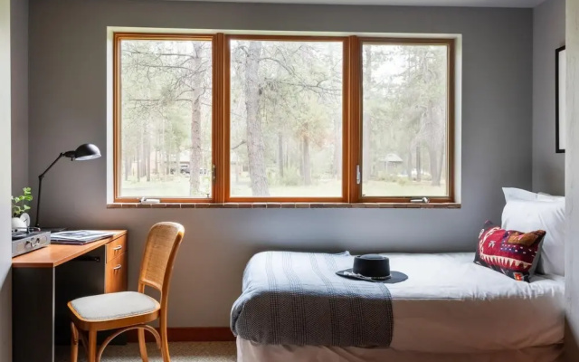Salishan Lane - Skylight