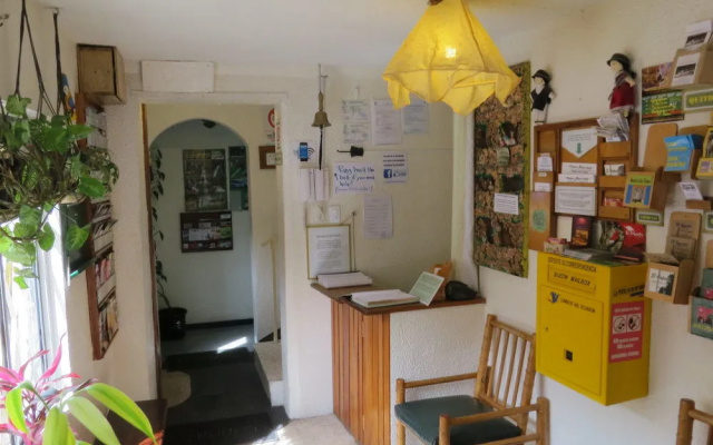 Hostal Plantas  Y Blanco