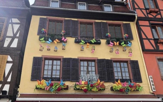 Les Appartements d'Alicia Obernai