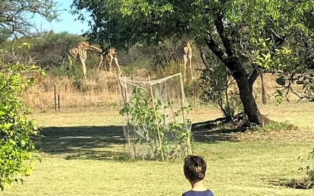 Tamboti Bush Lodge