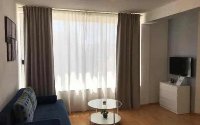 Apartment Antiša