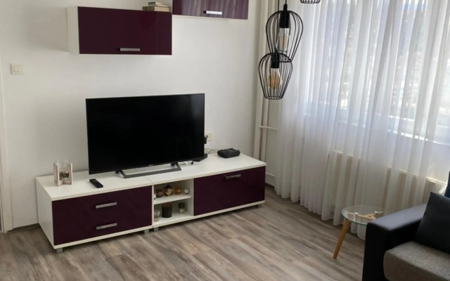 Lovely and Cosy 1-Bedroom Apartment
