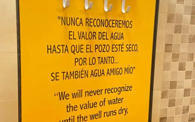 Señor Oso