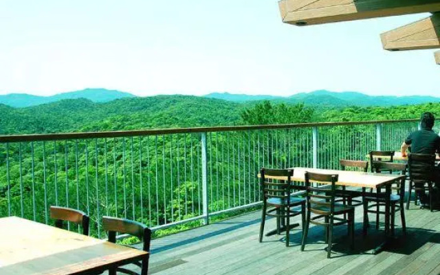 Yambaru Discovery Forest
