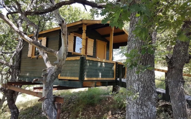LES TRUFFIERS Cabane