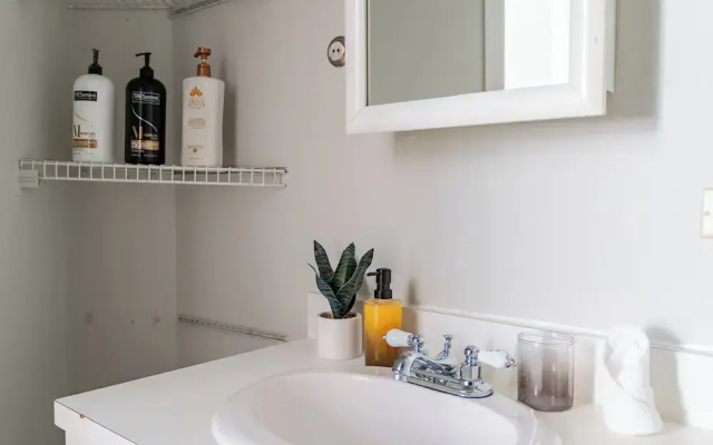 1BR Apt in Lincoln Park - Lincoln 3E
