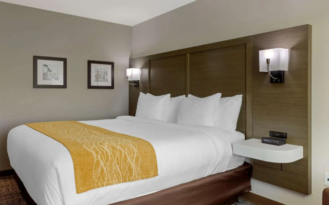 Comfort Inn Jonesboro Central