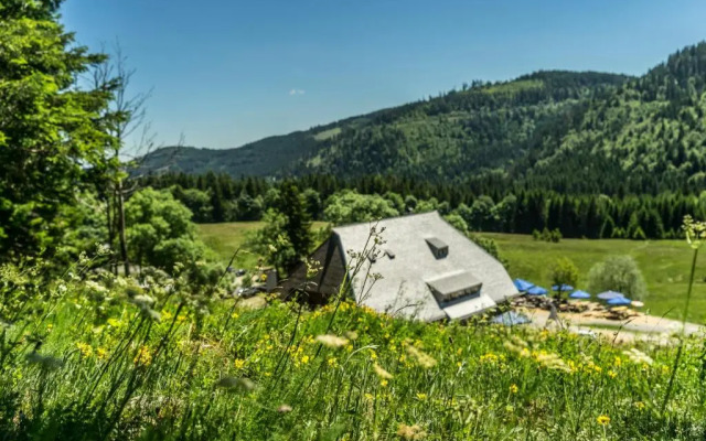 Ferienwohnung Schwarzwaldtraum - 2Zi - Feldberg