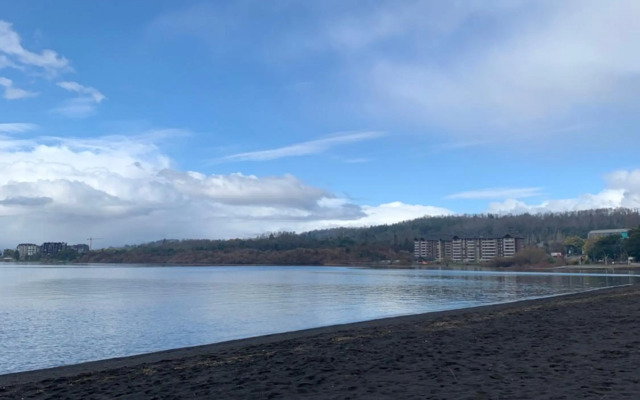 Departamento - Condominio Parque al Volcán Villarrica