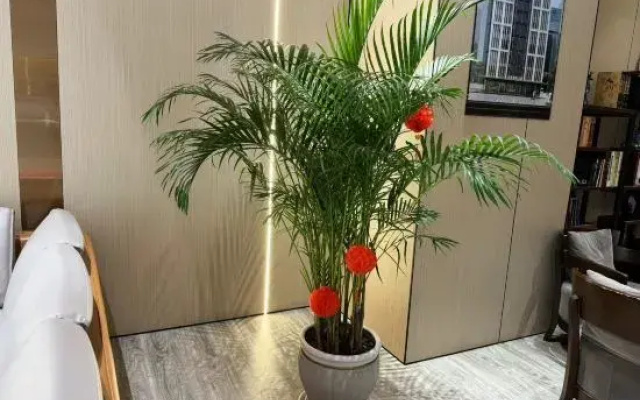 Chuangsheng No.1 Serviced Apartment