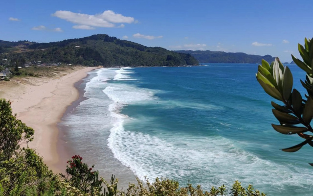 Paku Escape - Tairua Bach